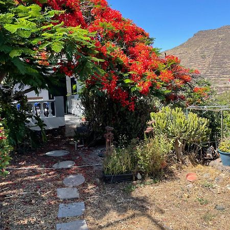 Casa Rural En Santa Cruz Los Campitos ภายนอก รูปภาพ