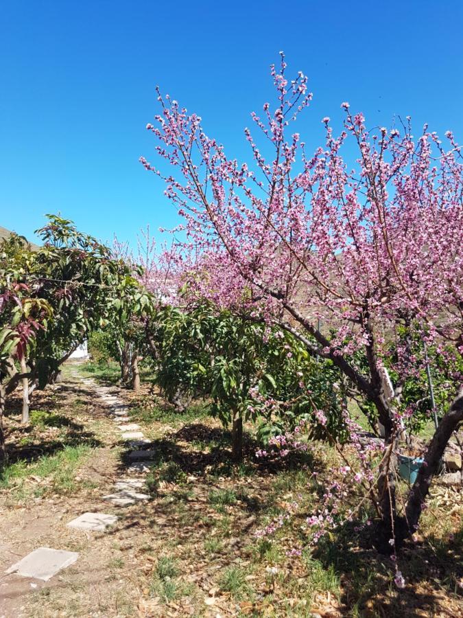 Casa Rural En Santa Cruz Los Campitos ภายนอก รูปภาพ